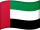 Dubai Flag